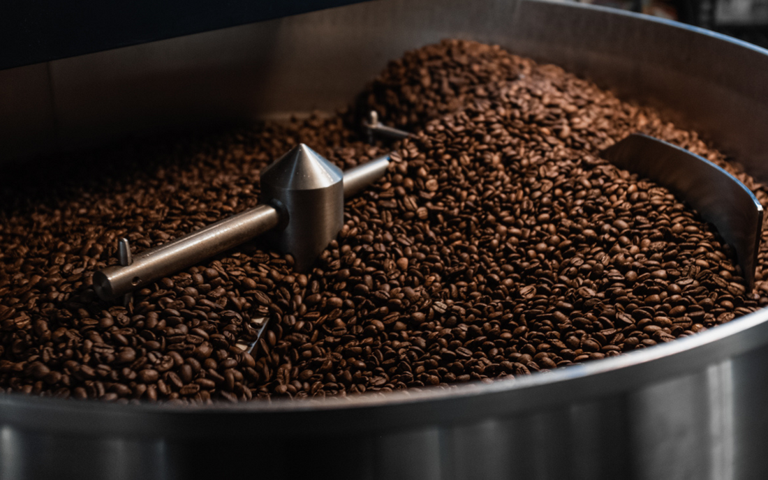 Coffee Lifestyle, Sourcing, Cupping