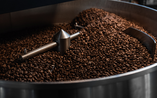 Coffee Lifestyle, Sourcing, Cupping