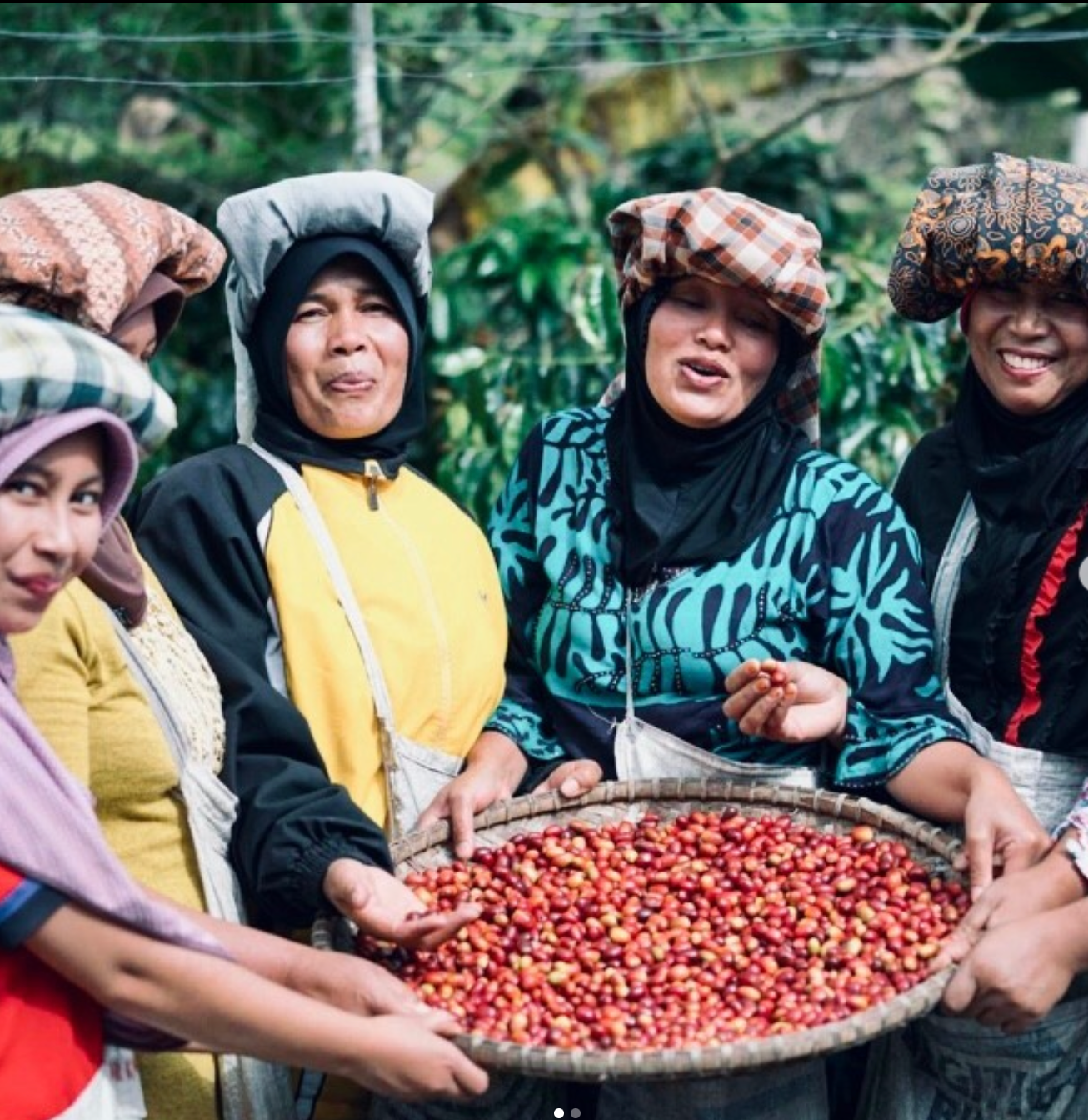Women in the coffee industry (and how we involve them)