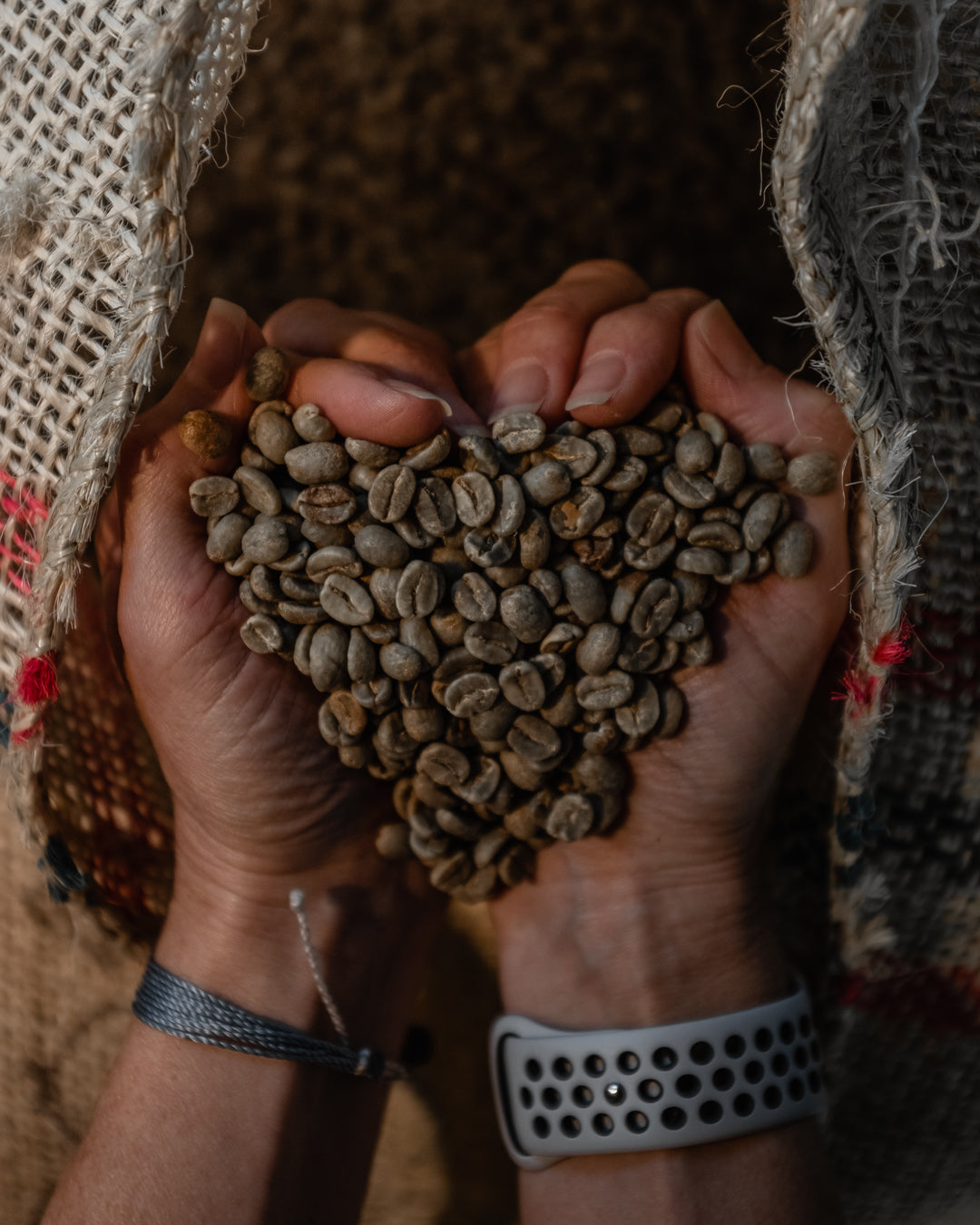 From the Origin Up: How We Source and Buy Green Coffee