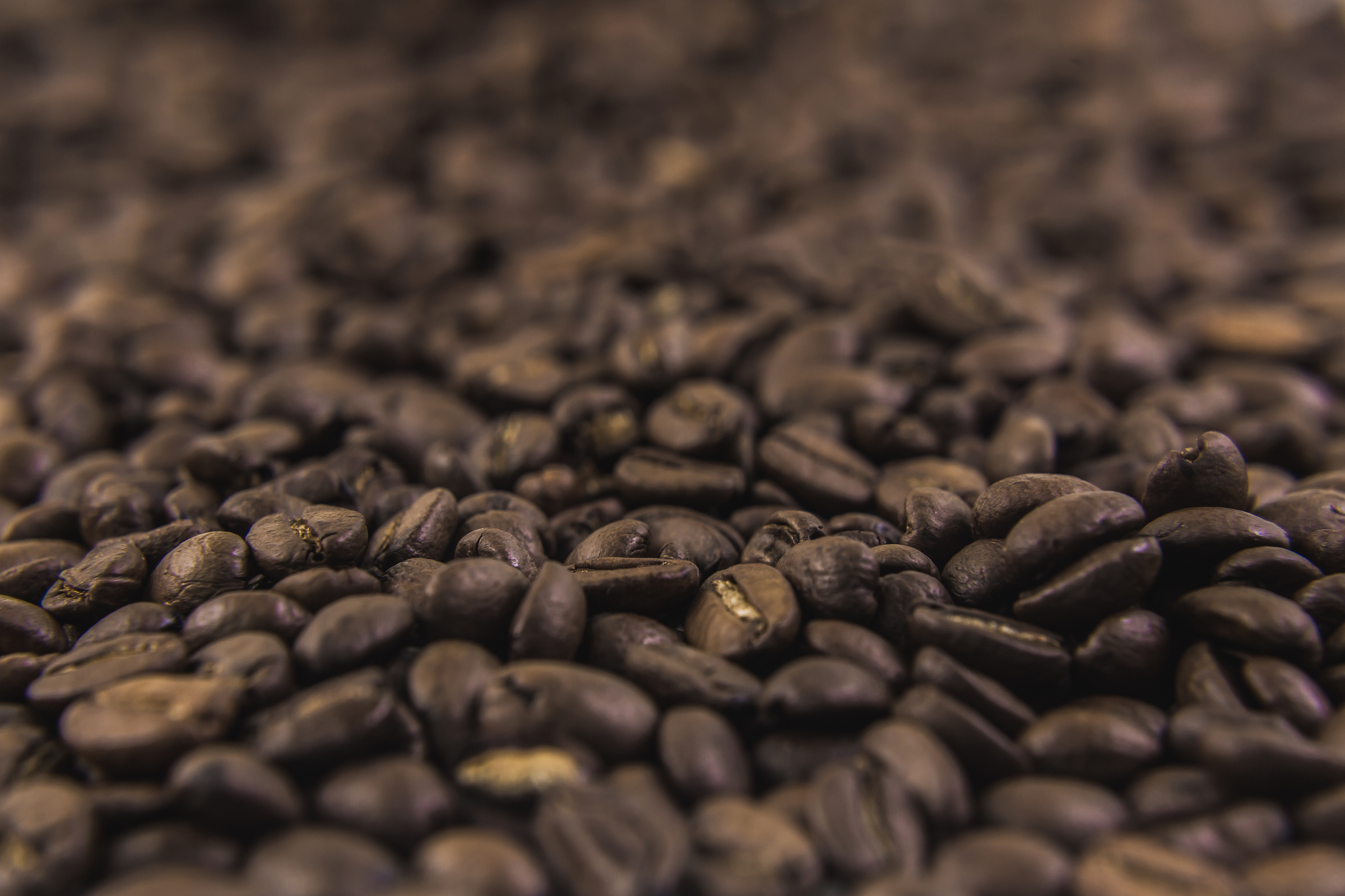 Specialty Coffee Subscription Service From The Roasted Record