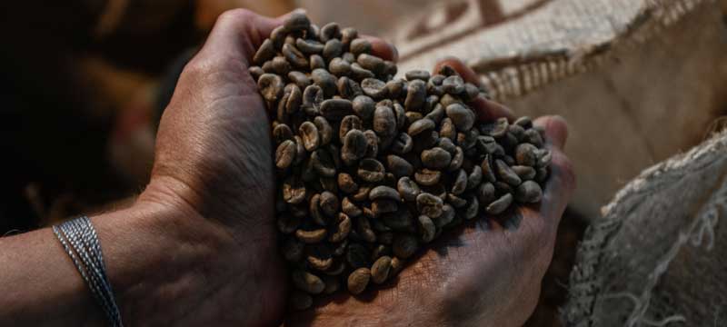 Roasted Record Specialty Coffee