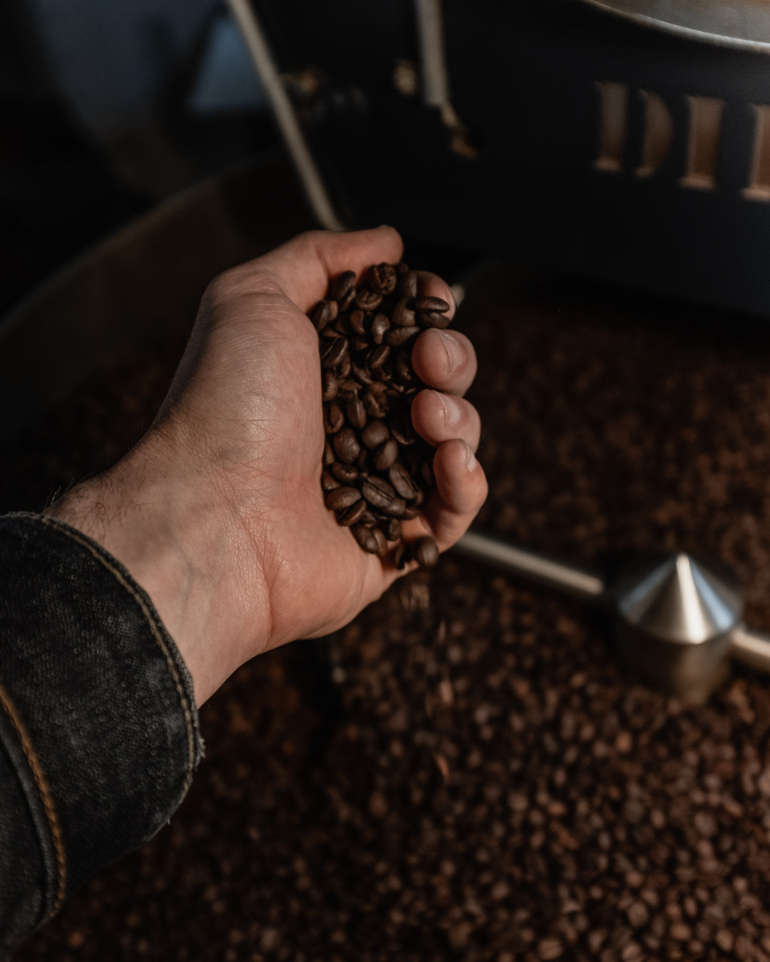 Hand scooping freshly roasted coffee beans from the cooling tray