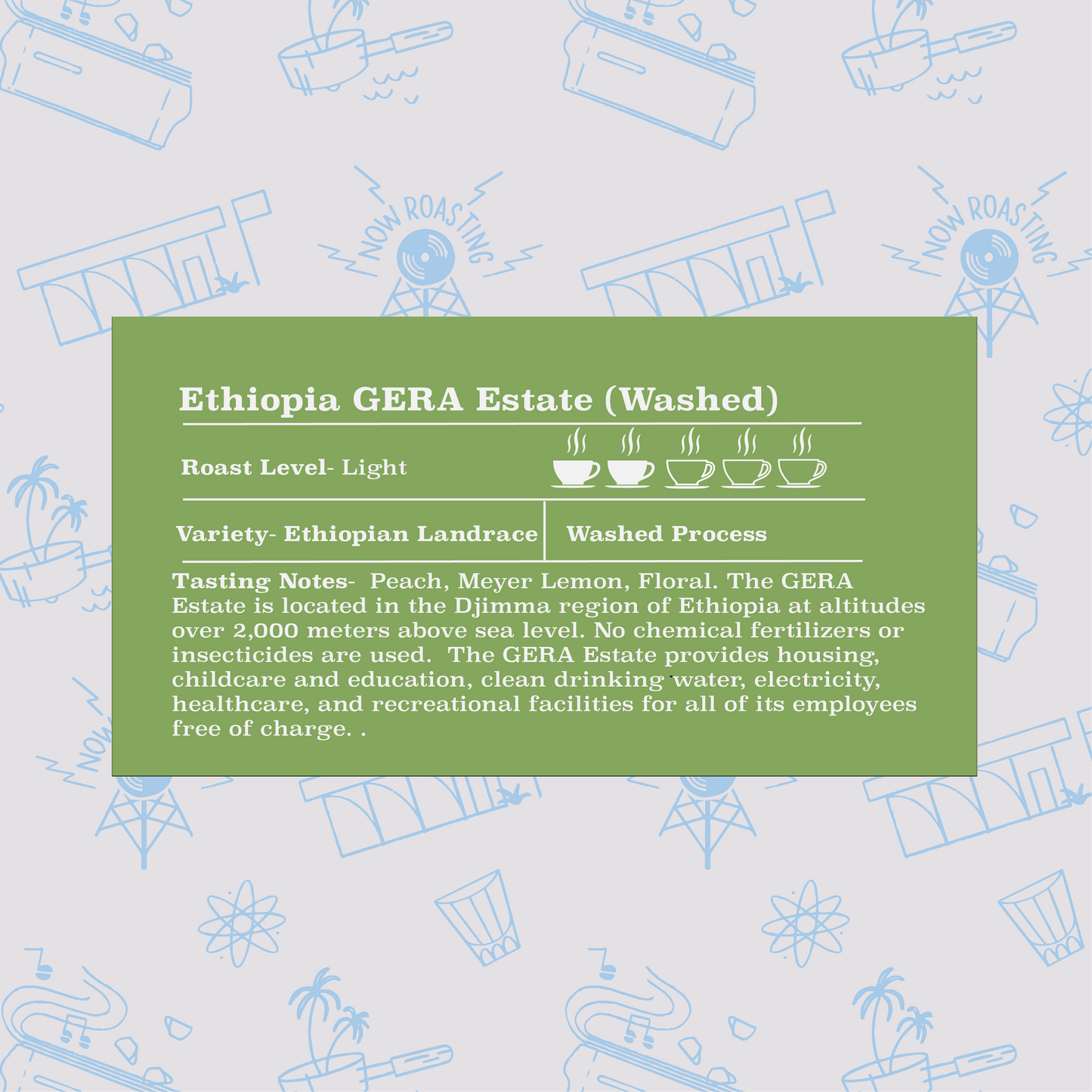 Ethiopia GERA Estate (Washed)